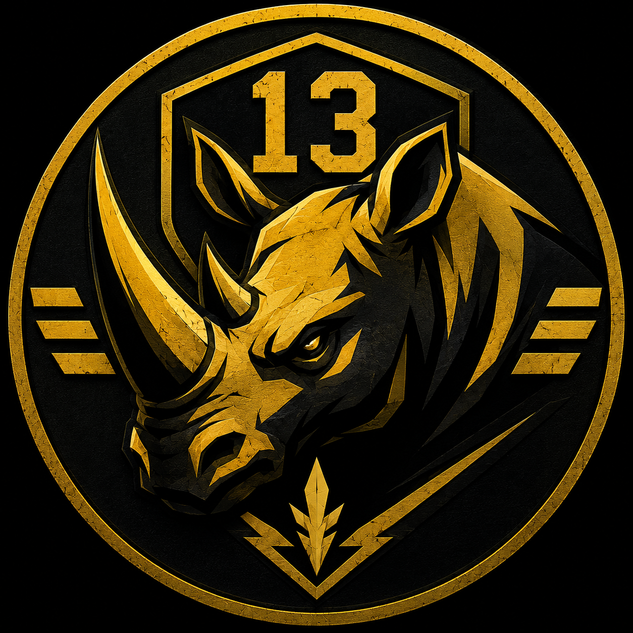 13 Lichte Brigade